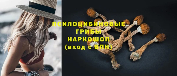СК Абаза